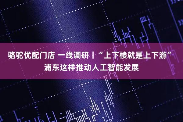 骆驼优配门店 一线调研丨“上下楼就是上下游” 浦东这样推动人工智能发展