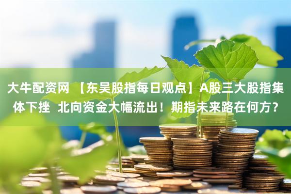 大牛配资网 【东吴股指每日观点】A股三大股指集体下挫  北向资金大幅流出！期指未来路在何方？